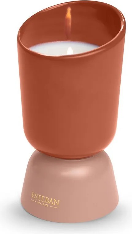 Esteban Paris Iconic Illatgyertya 220g Teck és Tonka illat