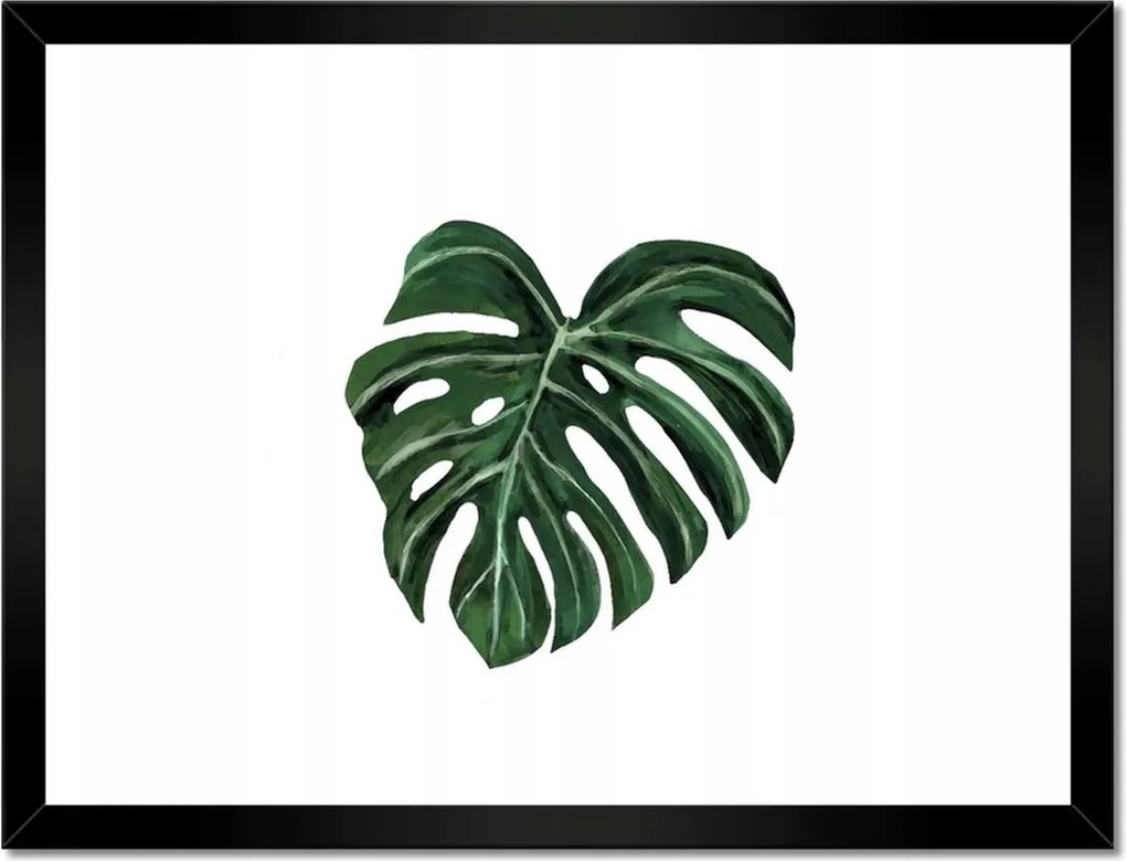 Poszterek keretben 40x30 Monstera deliciosa Levél