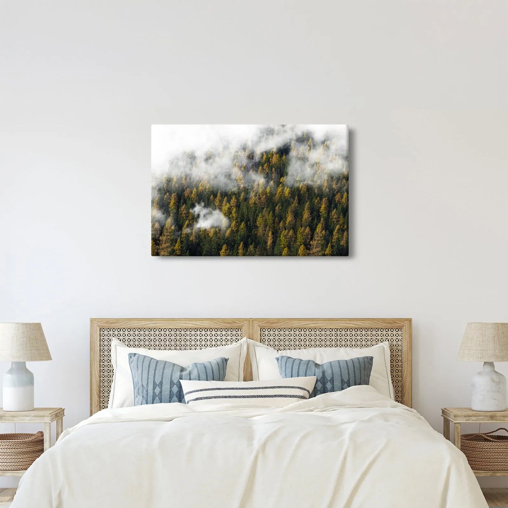 Egy erdő képe a felhők között (90x60 cm)