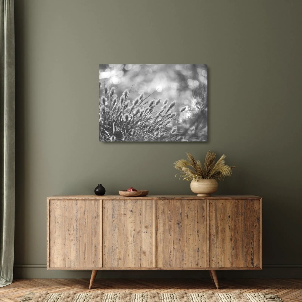 Üveg kép - Bézs színű puha fű N⁰1 (70x50 cm)