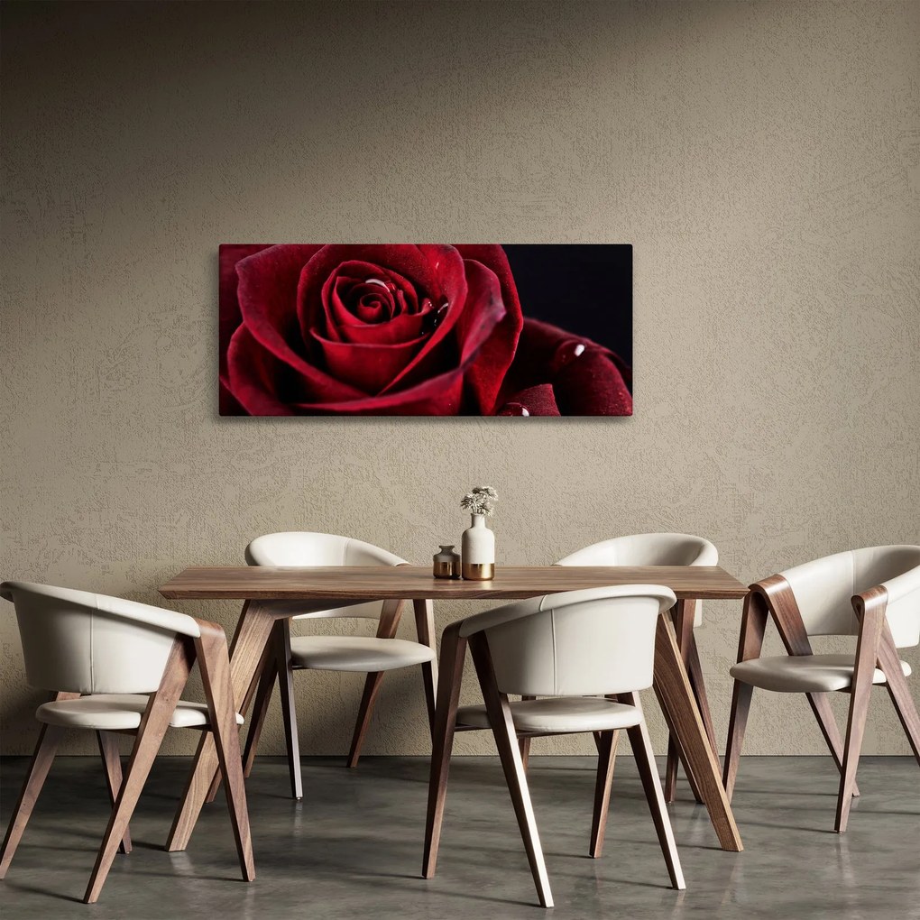 Kép - Vörös rózsa (120x50 cm)