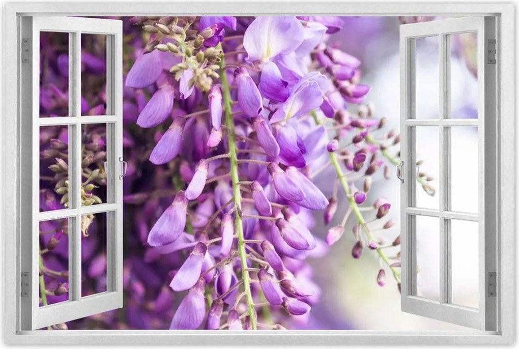 Poszterek 60x40 Lila virágok Virágok