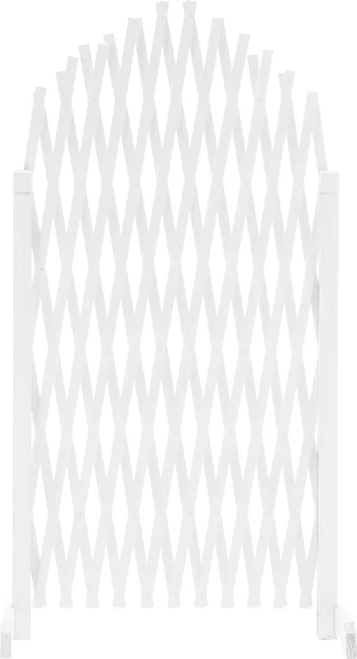 Rácsos térelválasztó panel, fehér/fa, 250 cm, KEJLY