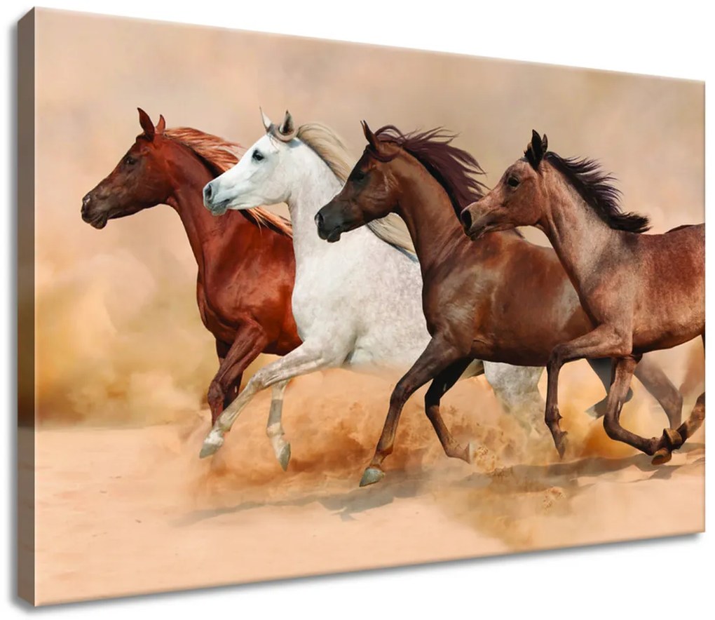 Gario Vászonkép Gyönyöru lovak állománya Méret: 100 x 70 cm