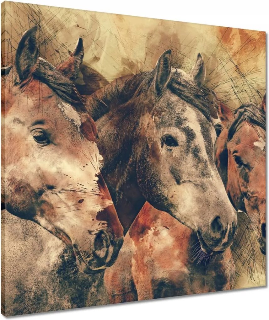 Vászonkép 60x60 Lófejek