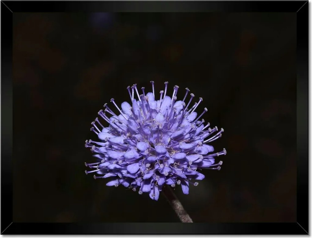 Poszterek keretben 40x30 Nőnap Ajándék Love