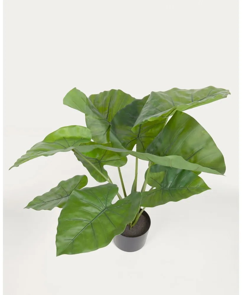 Műnövény (magasság 57 cm) Odora – Kave Home