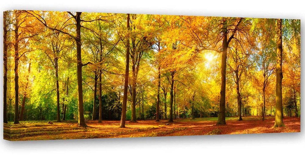 Gario Vászonkép Aranyerdő Méret: 120 x 40 cm
