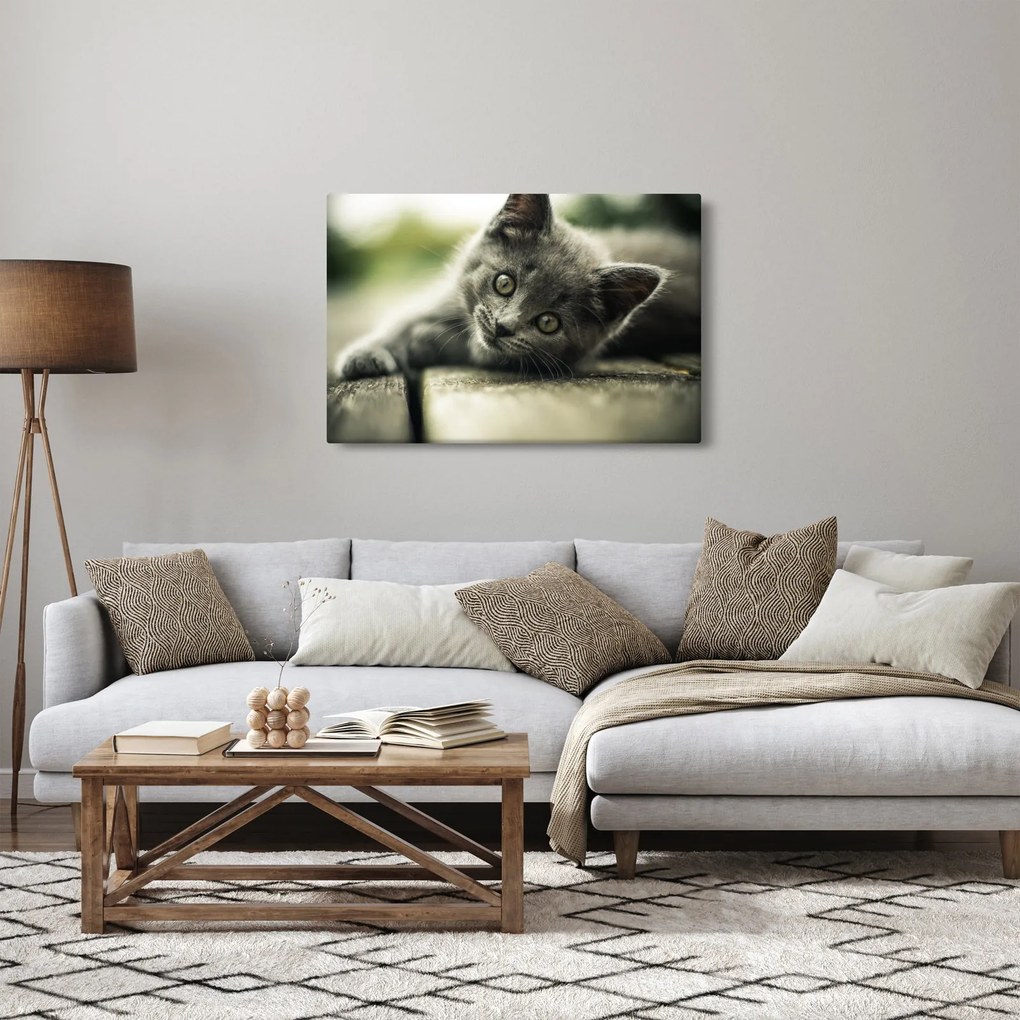 Cica képe (90x60 cm)