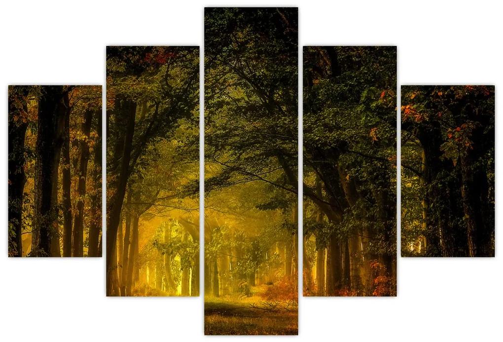Erdő képe (150x105 cm)