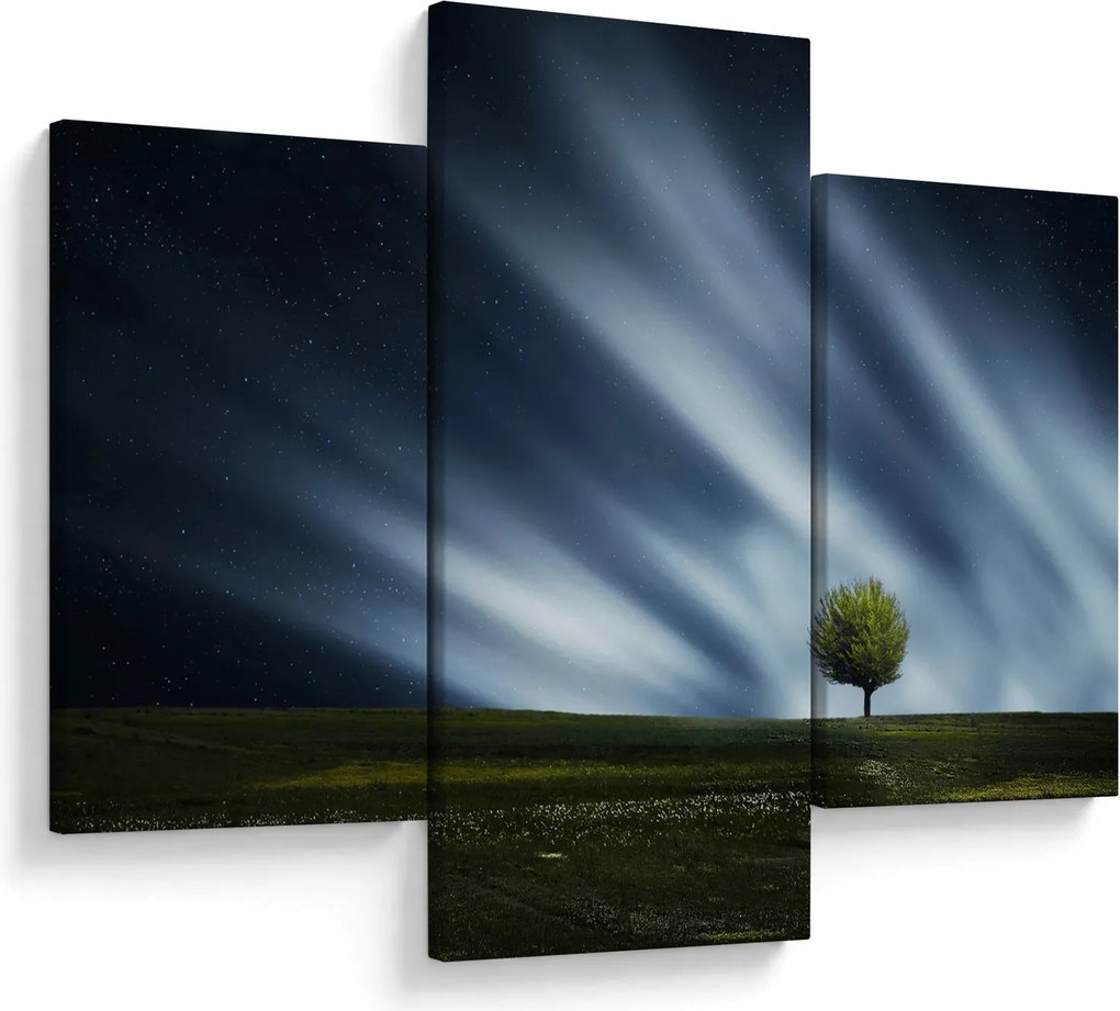Az aurora borealis képe egy lápvidéken (90x60 cm)
