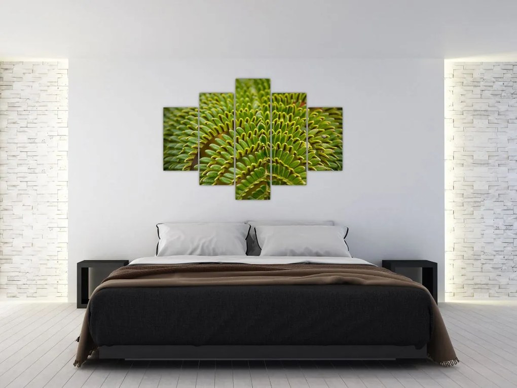 Kép - Fern (150x105 cm)