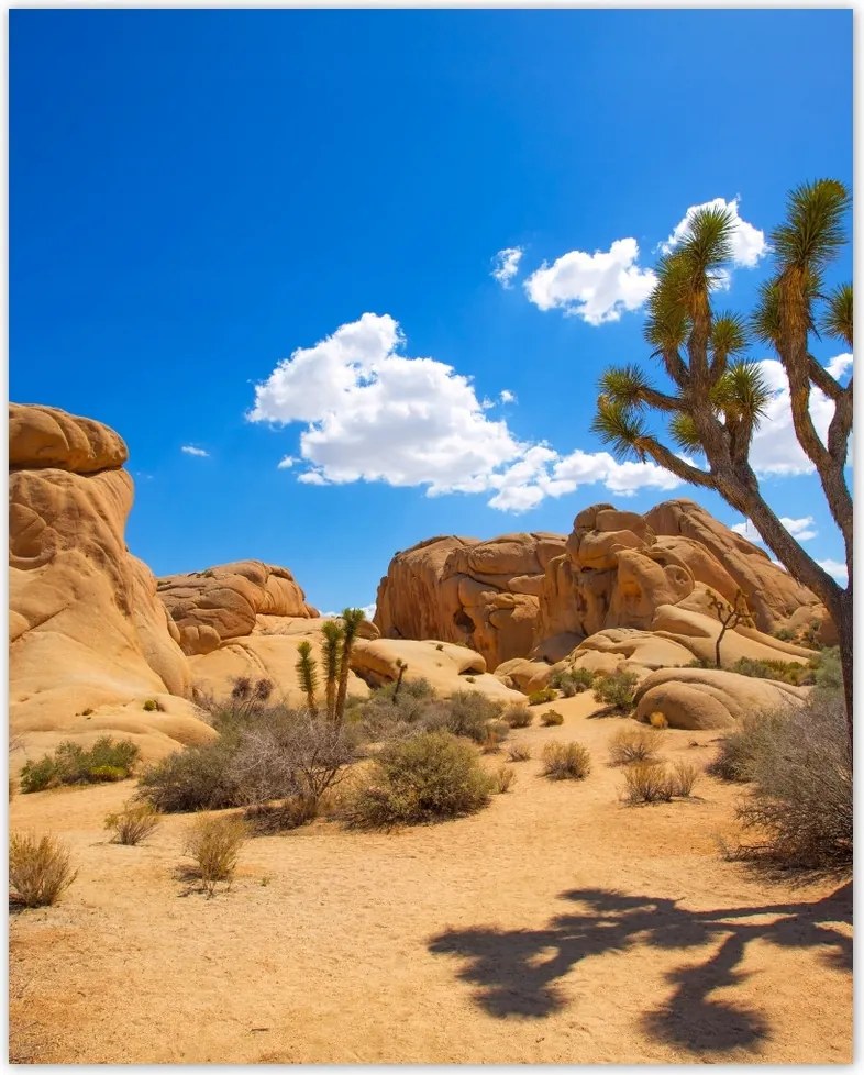 Poszterek 40x50 Sivatagi táj