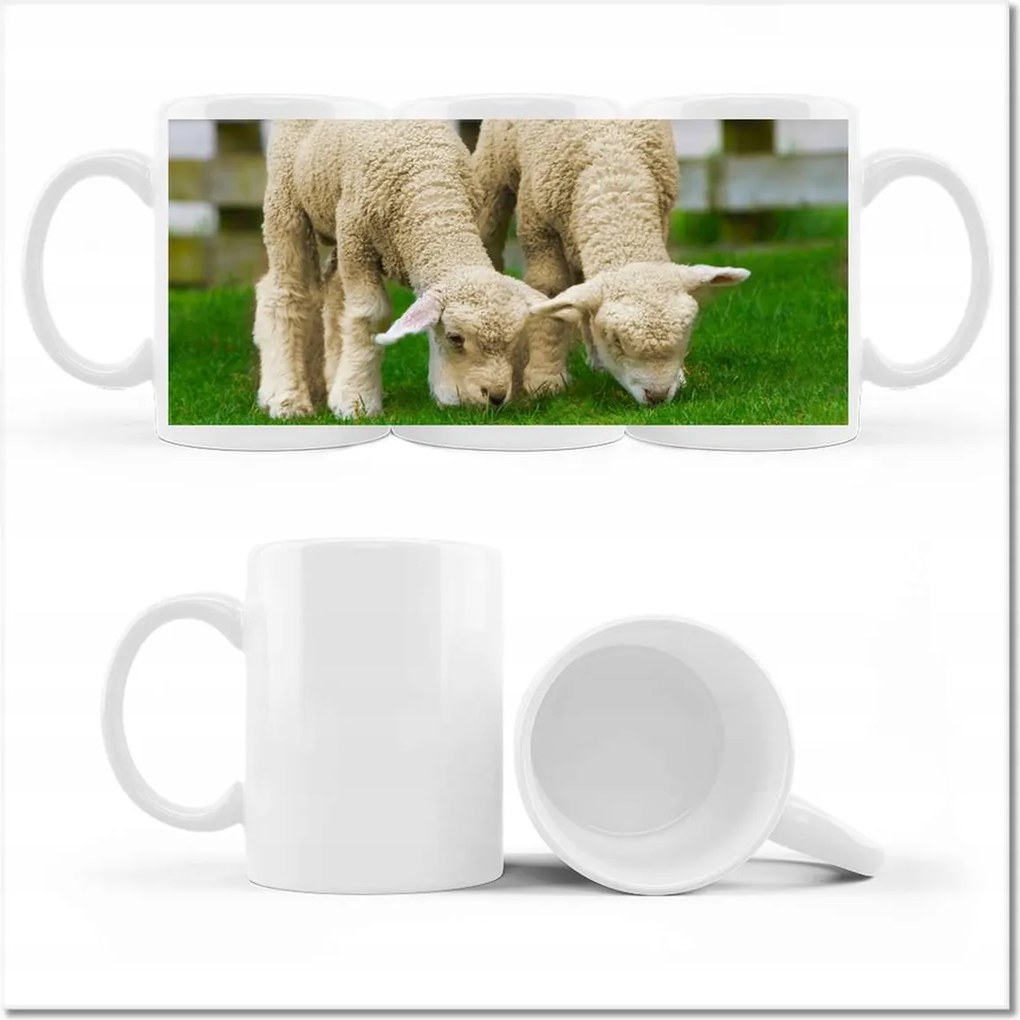 Fényképes bögre Gyapjú barátok