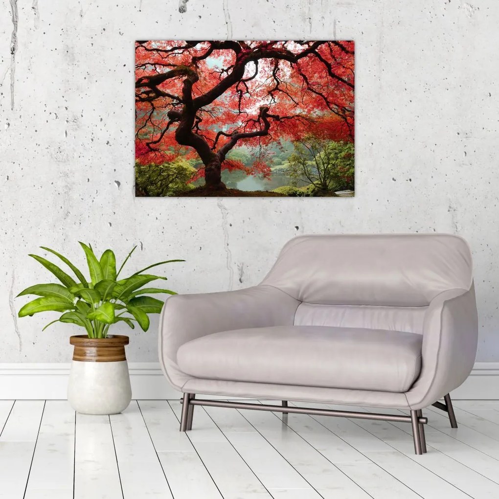 Red Japanese Maple, Portland, Oregon képe (70x50 cm)