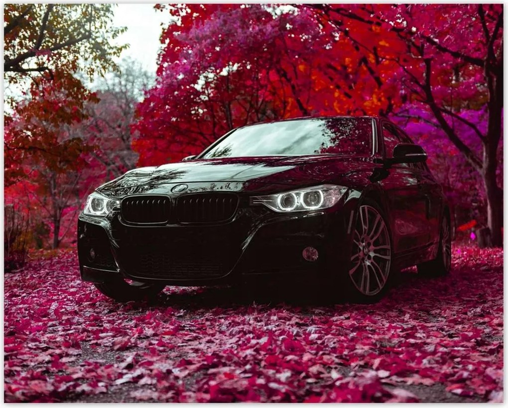 Poszterek 50x40 Fekete Bmw Ősz
