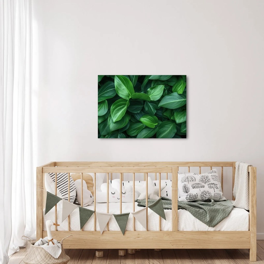 Kép - Zöld levelek (70x50 cm)