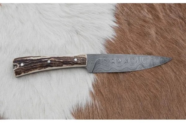 Vadász dispatch kés 12 cm szarvas agancs