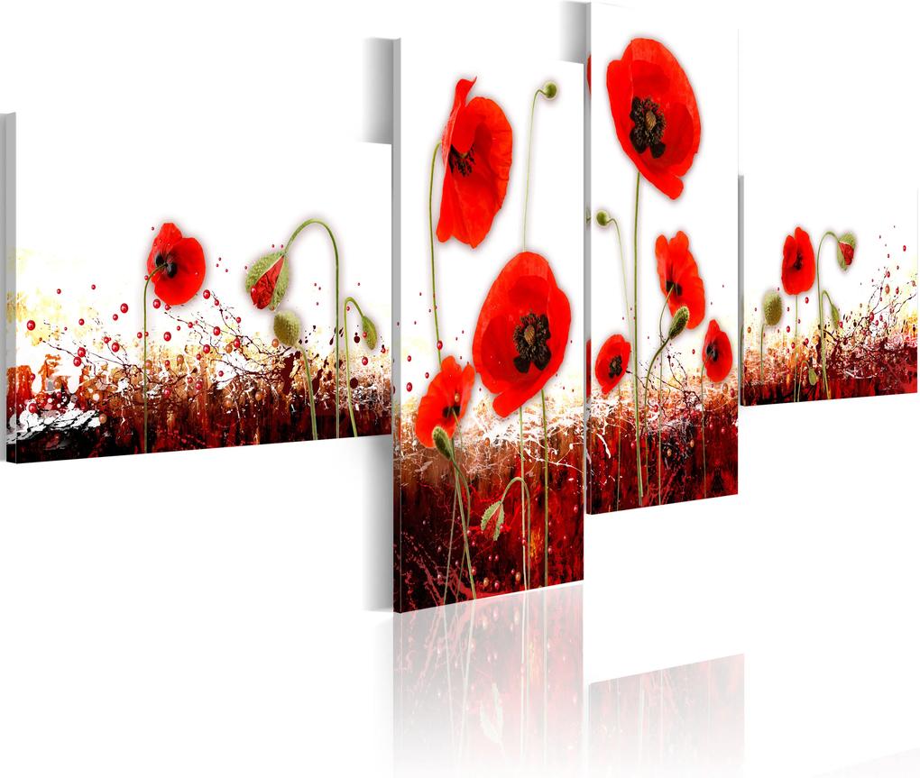 Kép - A field of poppies on a white background