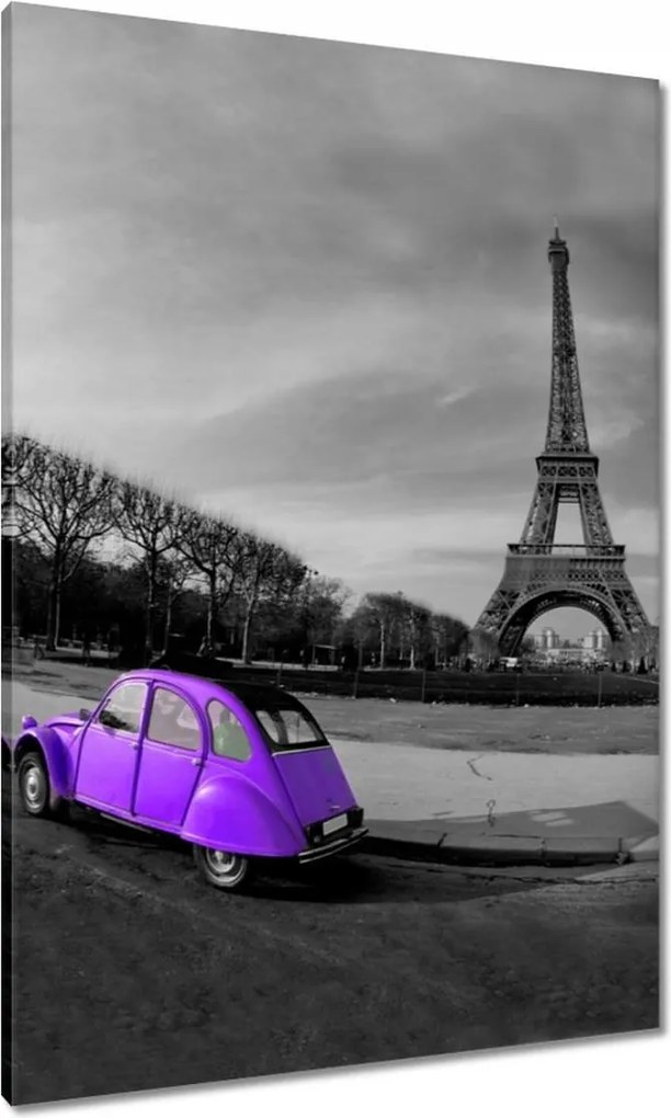 Vászonkép 70x100 Lila autó Párizsban