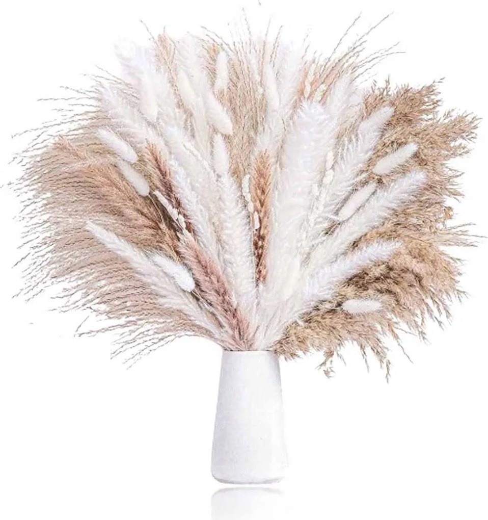 60db Pampas Fű Szárított Díszes Csokor Váza Díszítés