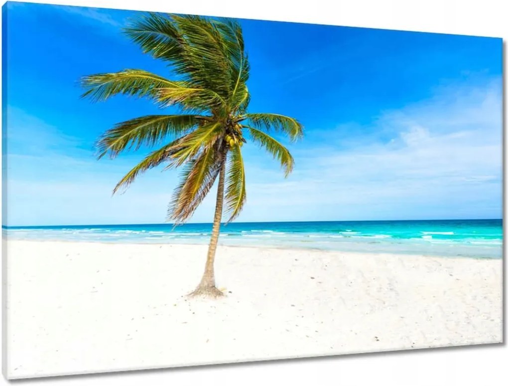 Vászonkép 90x60 Trópusok Tájkép Pálma
