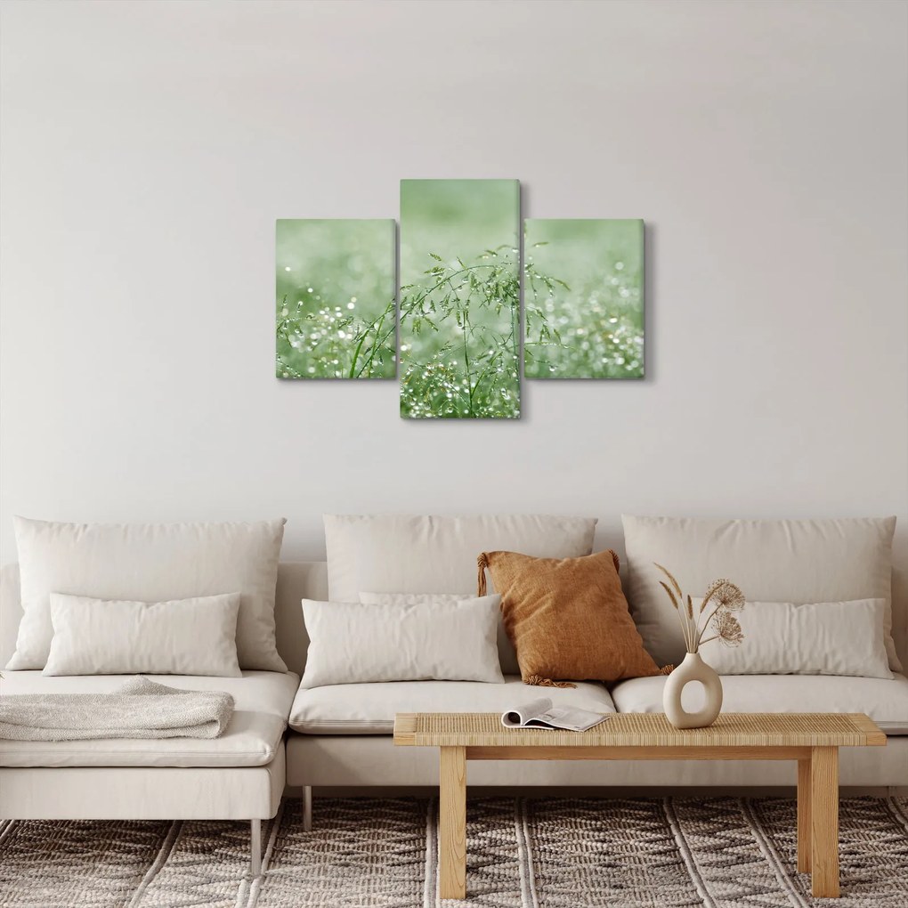 Kép - Harmat a fűben (90x60 cm)