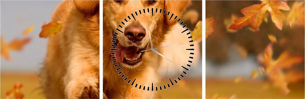 Kép - Golden Retriever (órával) (90x30 cm)