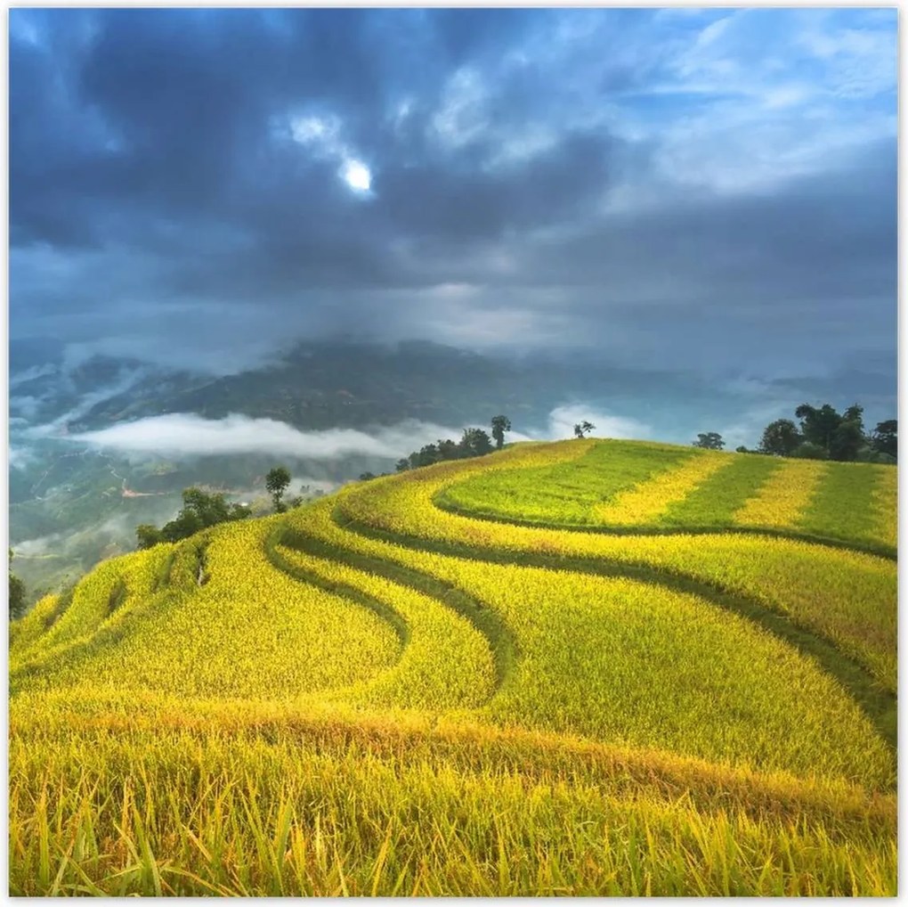 Poszterek 30x30 Kilátás Tájkép