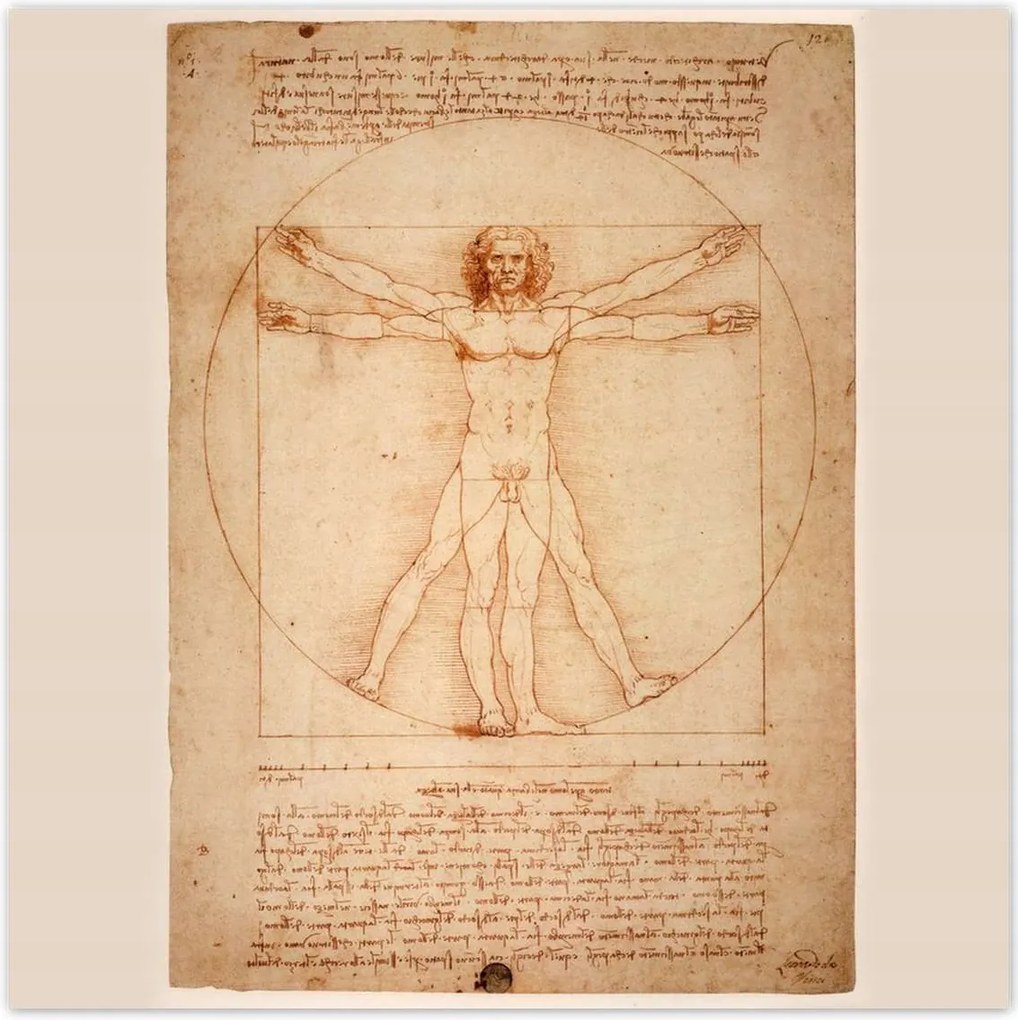 Fotótapéták 312x312 Vitruvius ember