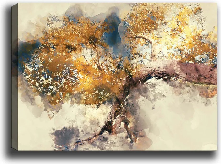 Kanvas vászonkép, 50×70 cm – TR529TCR1325