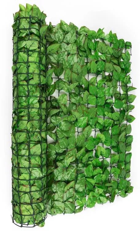 Fency Bright Leaf, világoszöld, bükk, kerítés, védelmet nyújt a kíváncsi tekintetekkel és a széllel szemben, 300 x 100 cm