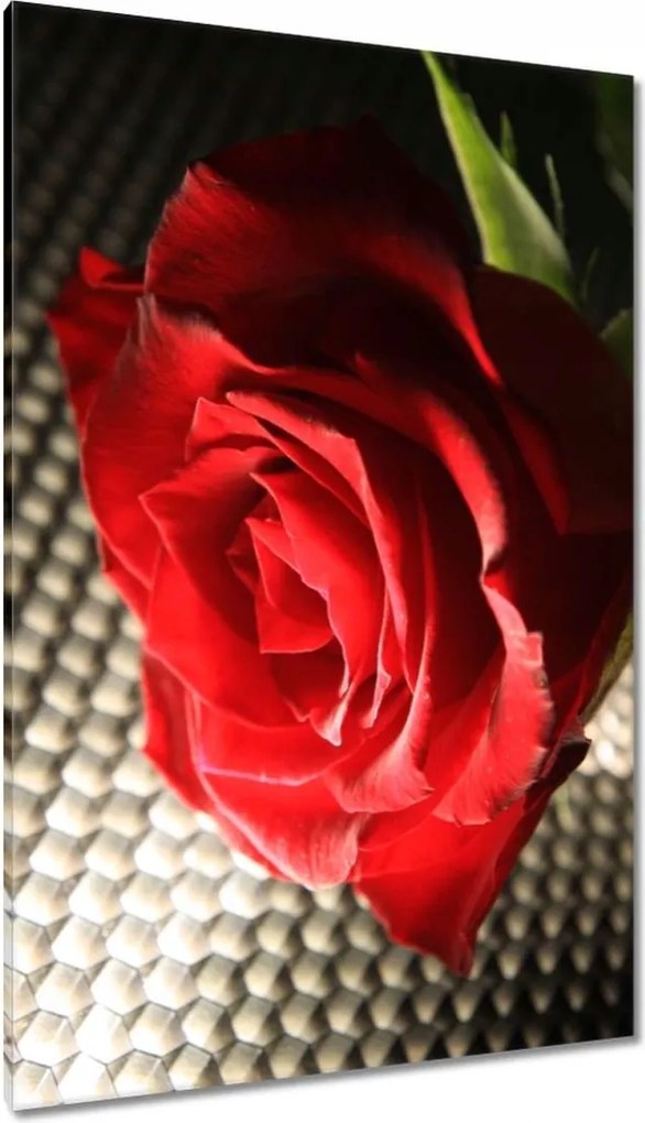 Vászonkép 80x120 Ízléses rózsa