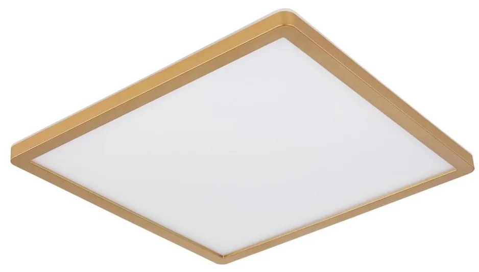 Globo 41563-24MM - LED Dimmelhető mennyezeti lámpa SAPANA LED/24W/230V IP44