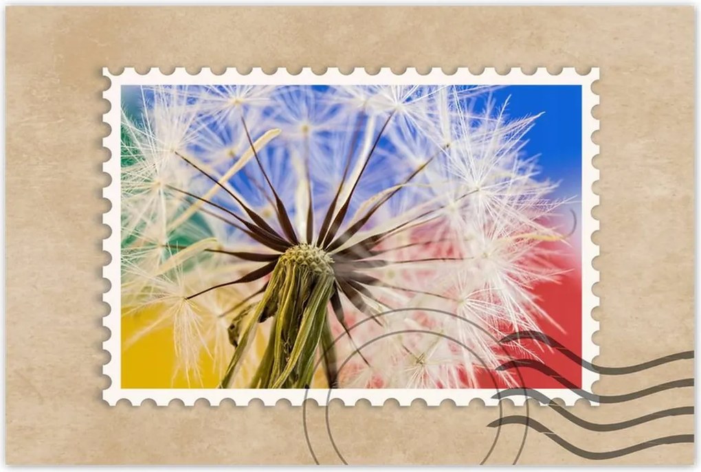 Poszterek 60x40 Pitypang színes