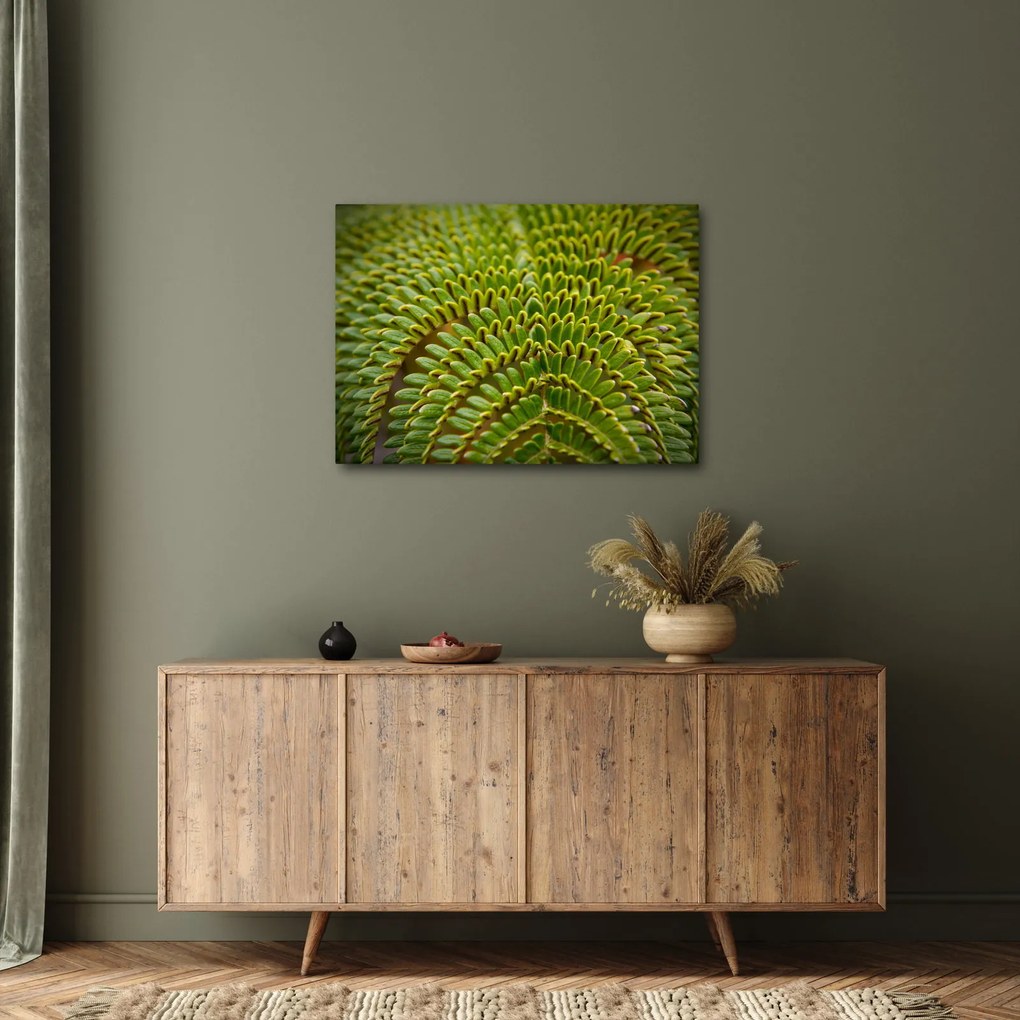 Kép - Fern (70x50 cm)