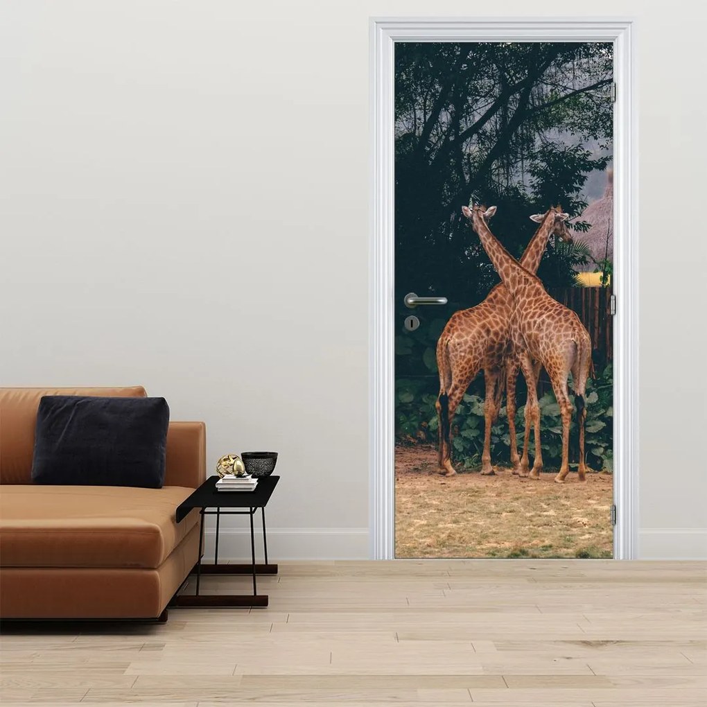 Fotótapéta ajtóra - Két zsiráf (95x205cm)