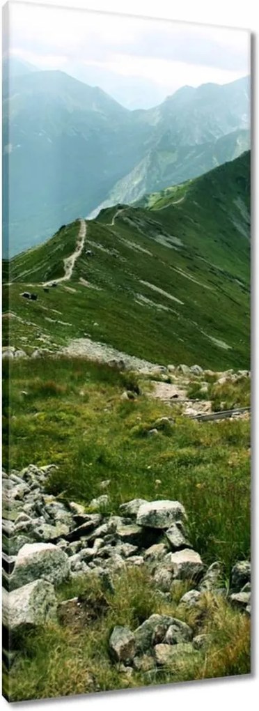 Vászonkép 40x100 Tátra Lengyel hegyek Kilátás