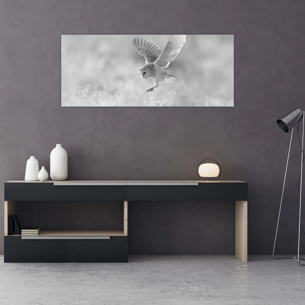 Kép - Bagoly a mezőn (120x50 cm)