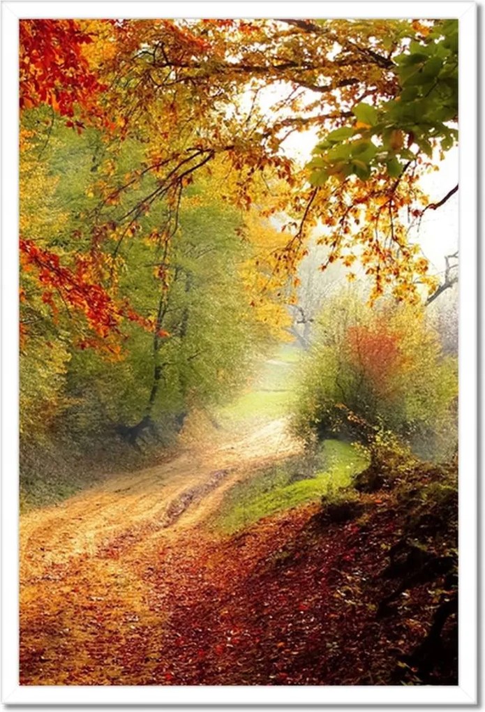 Poszterek keretben 40x60 Tájkép