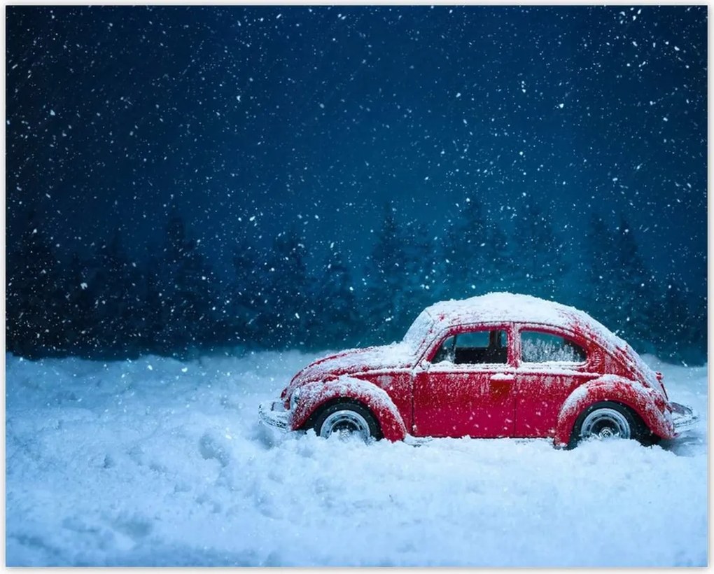 Poszterek 50x40 Bogár