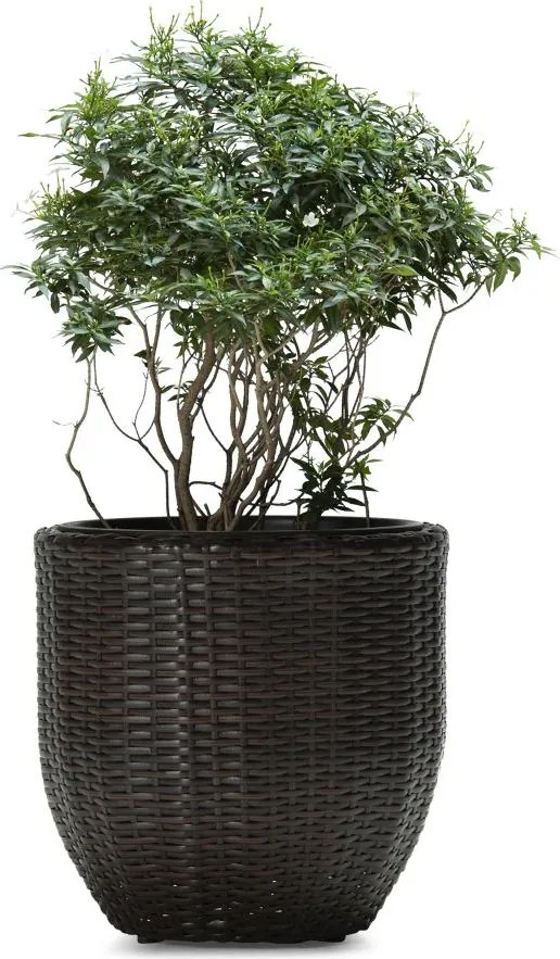 LILY Virágcserép - barna