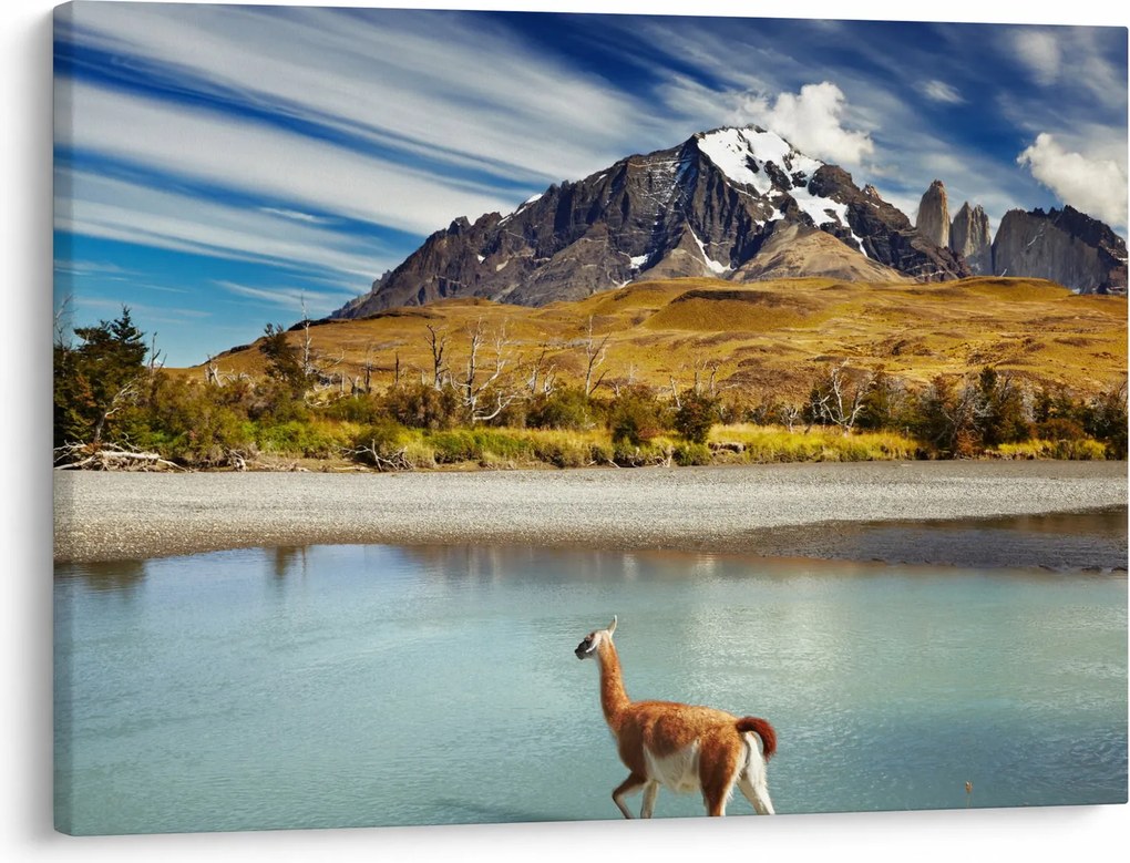 Kép - Torres del Paine Nemzeti Park (70x50 cm)