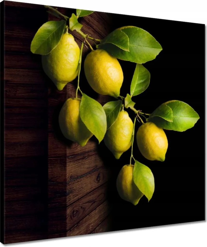 Vászonkép 50x50 Természetes citrom Citrus