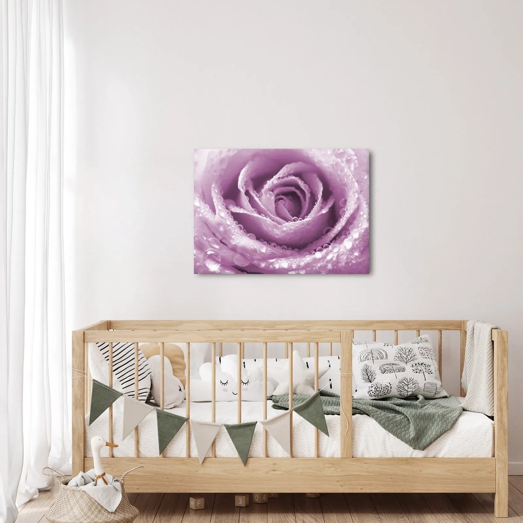 Vászonkép - Egy rózsa virág részlete (70x50 cm)