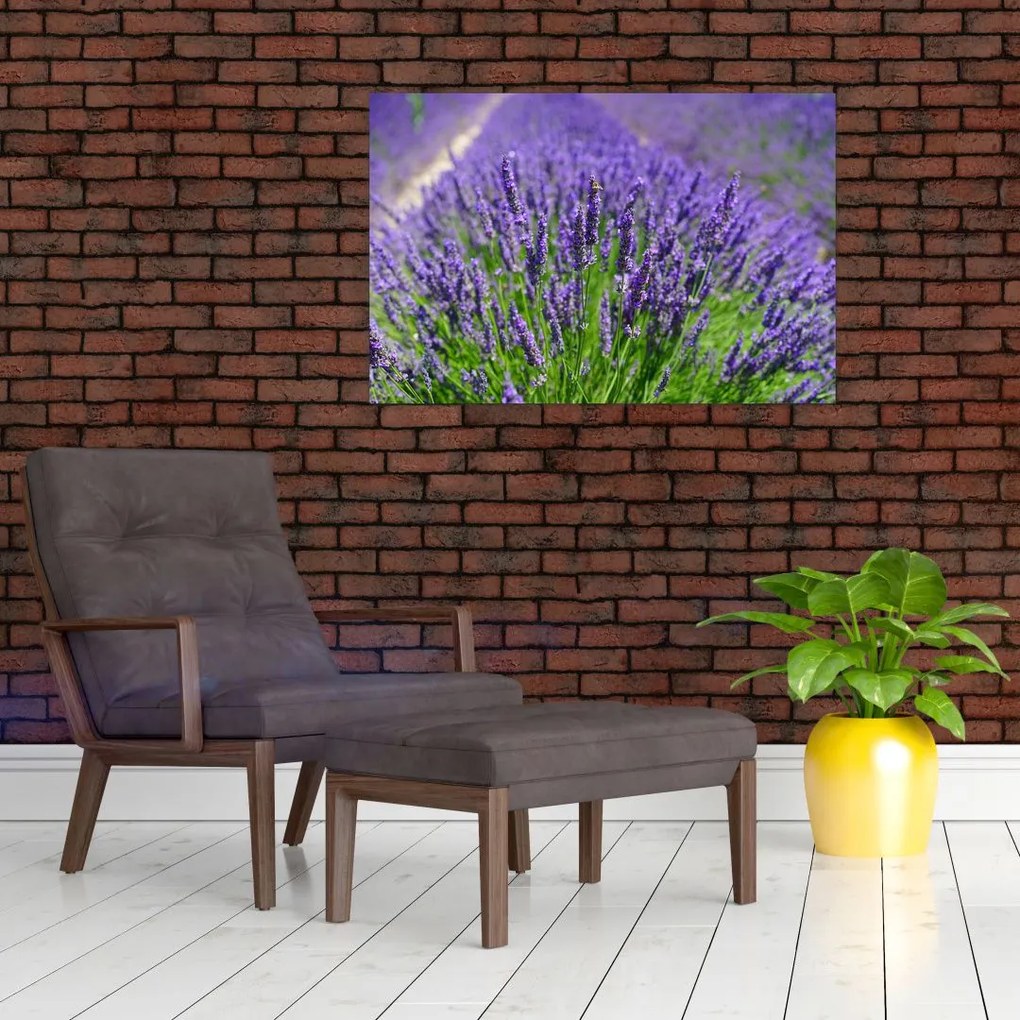 Kép - levandula (90x60 cm)