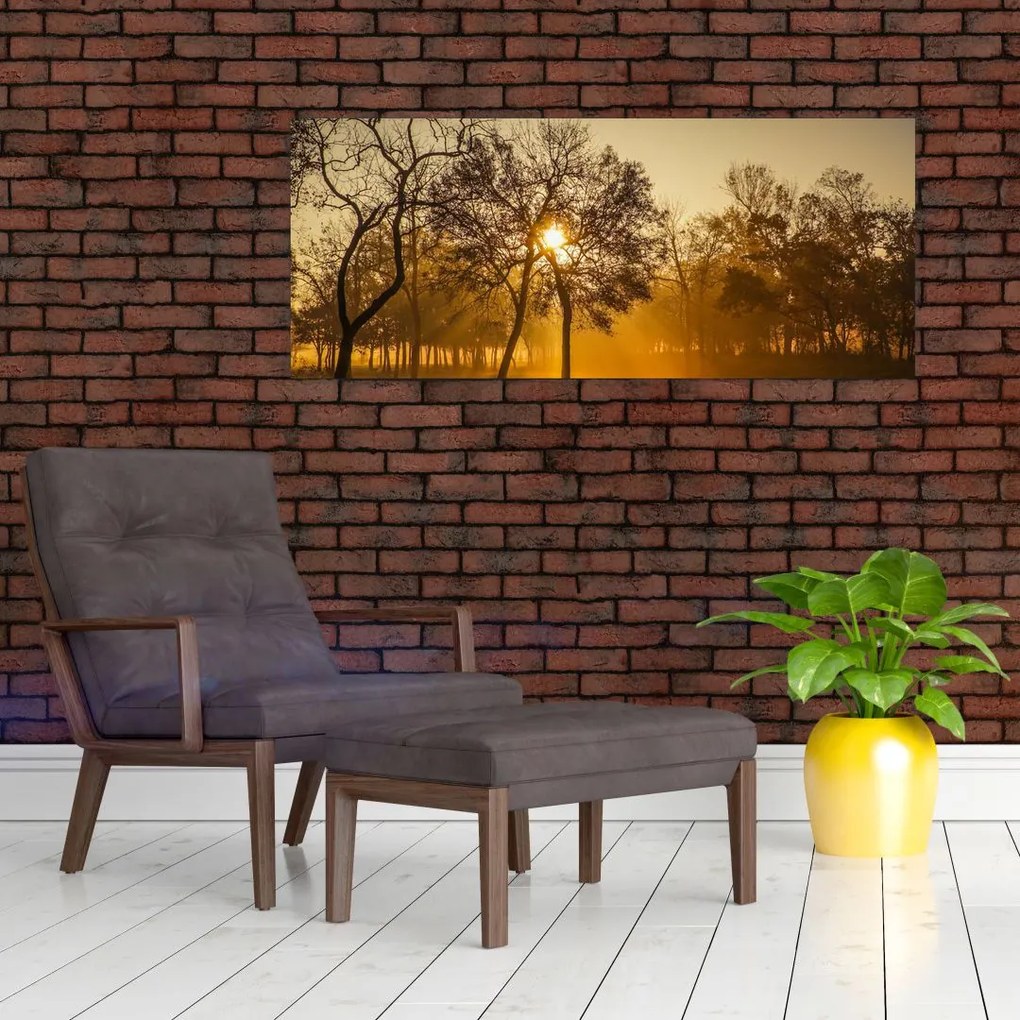 Napkelte kép (120x50 cm)