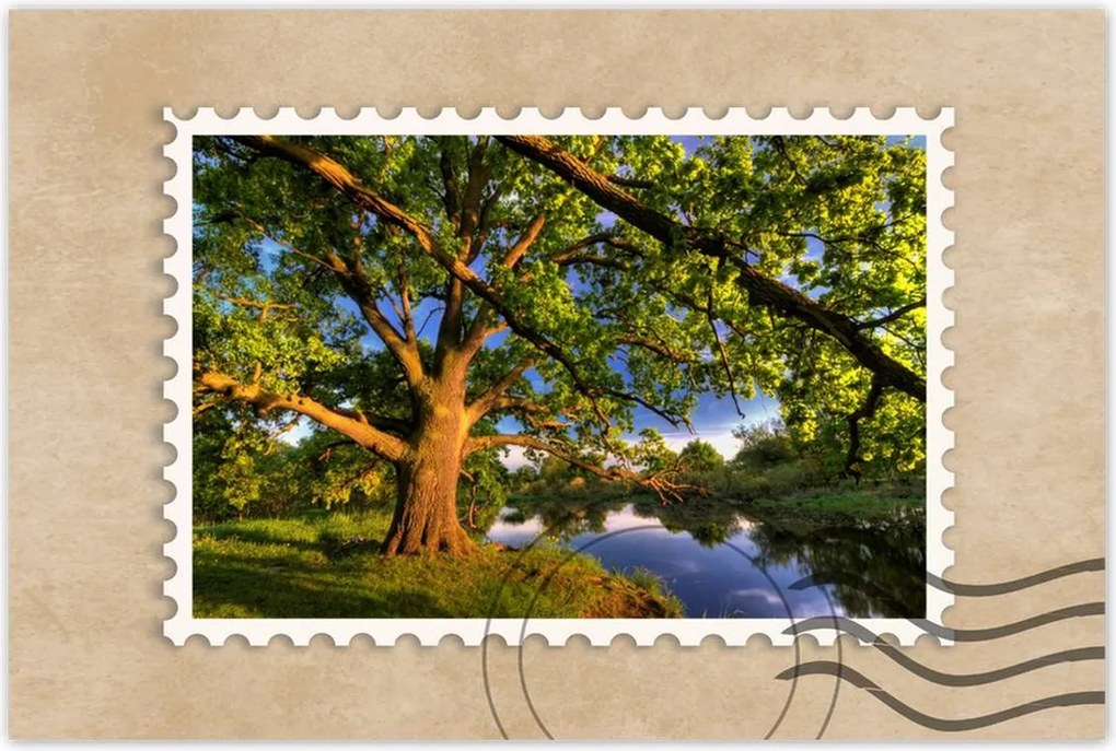 Poszterek 90x60 Tölgy a croissant-ban Nyugat