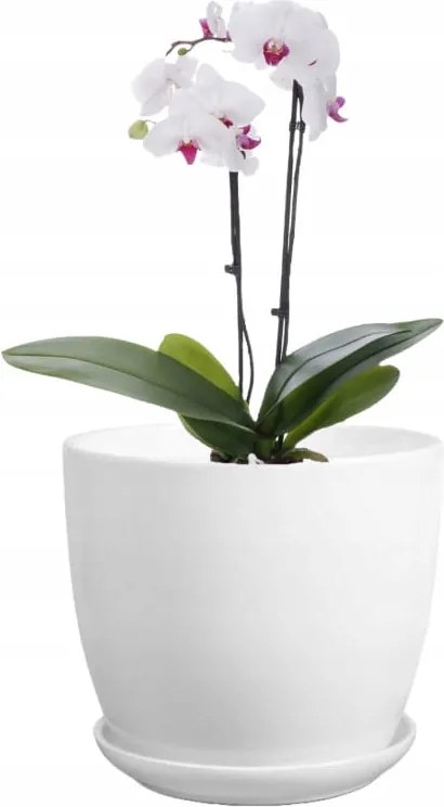 Kerámia kaspó dekoratív virágtartóval 16 cm fehér