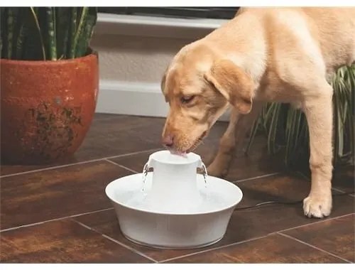 PetSafe® Avalon kerámia szökőkút 2 l